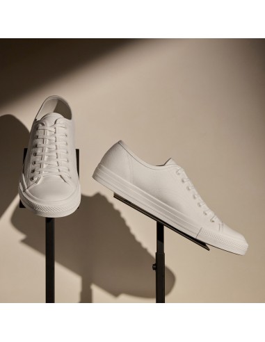 Men's Cotton Canvas Low Top Sneaker - White français