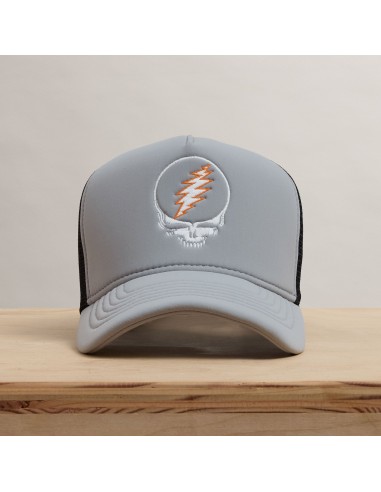 Grateful Dead Skull Embroidery Trucker - Pale Grey de technologie