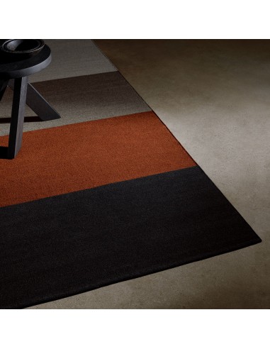 Color Blocked Area Rug - Blk M/Ochre/Flint soldes